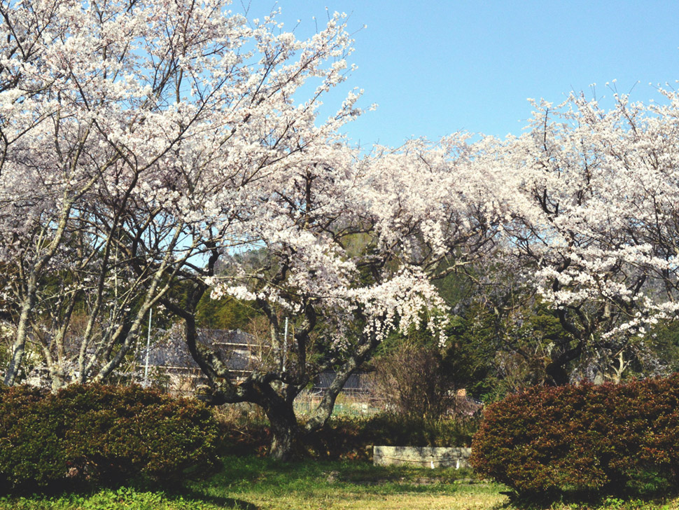 三坂神社 御旅所